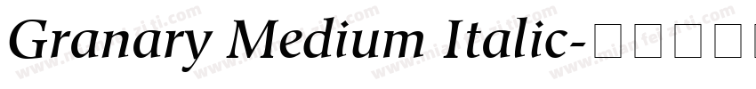 Granary Medium Italic字体转换